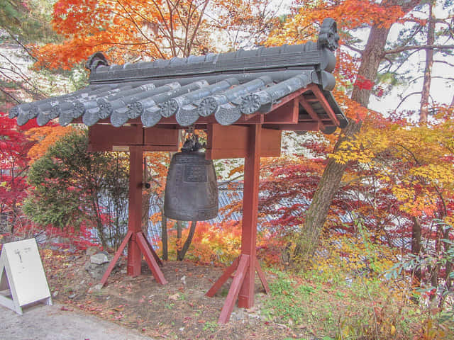 韓國丹陽 救仁寺 漂亮秋天紅葉步道景色