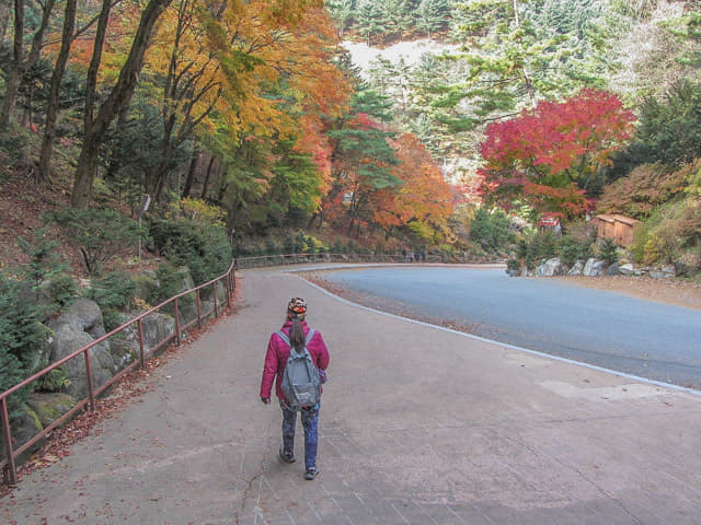 韓國丹陽救仁寺 秋天紅葉景色