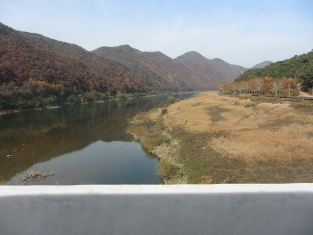 韓國丹陽 蘆葦林 (고운골남한강갈대숲)