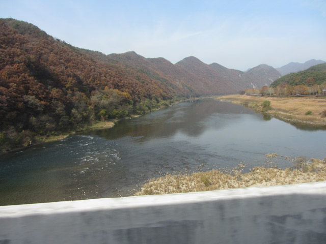 韓國丹陽 蘆葦林 (고운골남한강갈대숲)