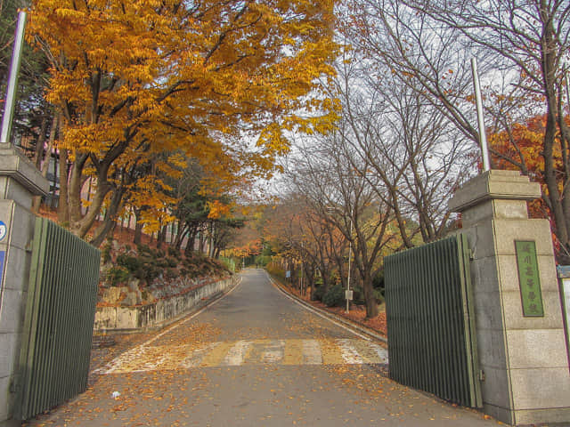 韓國忠清北道 堤川高等學校 (제천고교)