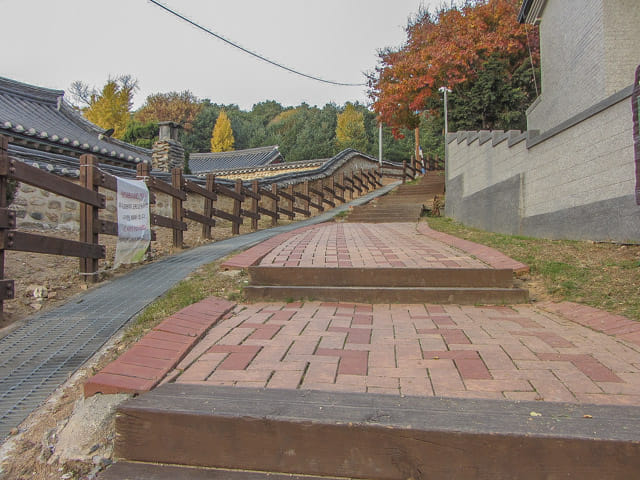 韓國忠清北道 堤川鄉校 秋天黃銀杏景色