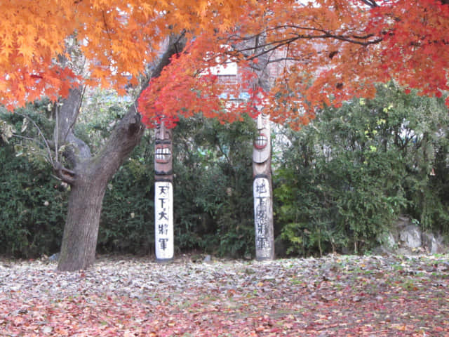 韓國忠清北道 堤川高等學校 (제천고교) 校園秋天紅葉景色