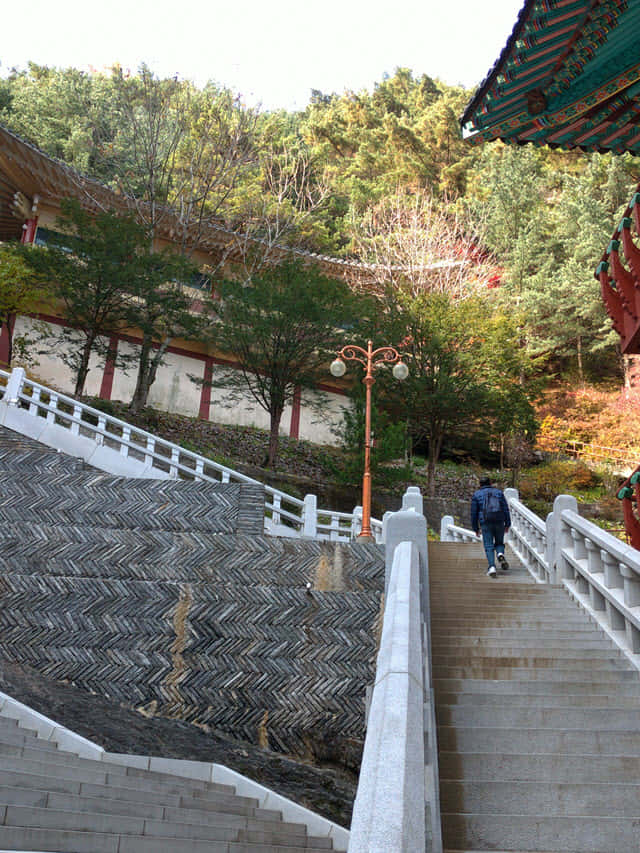 韓國丹陽救仁寺 光明殿 (光明堂) 往大祖師殿石階