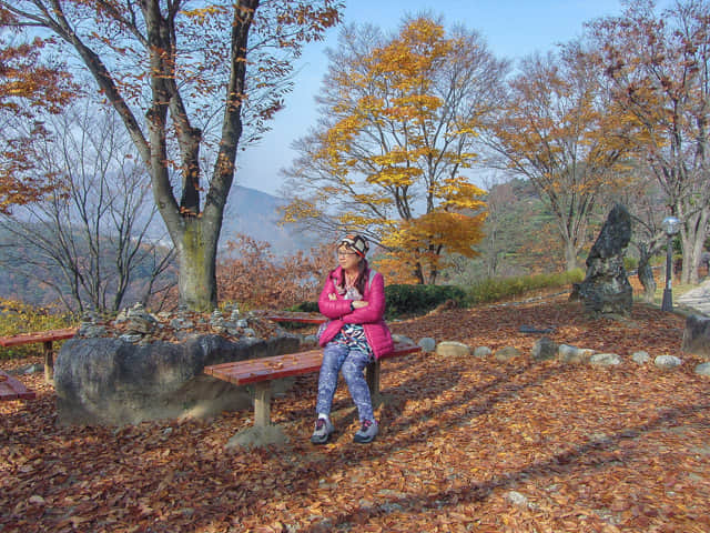 堤川忠州湖清風文化財團地 秋天紅葉景色