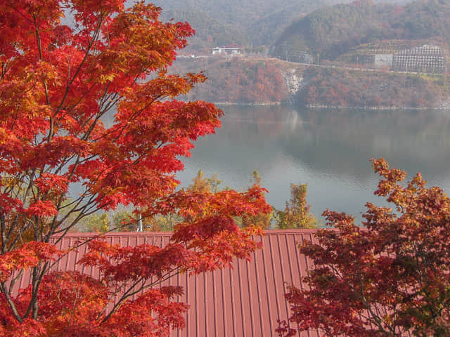 堤川忠州湖清風文化財團地 秋天紅葉景色