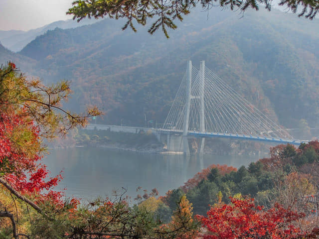 堤川忠州湖清風文化財團地 清風大橋 秋天紅葉景色