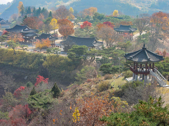 堤川清風文化財團地 秋天漂亮紅葉、黃銀杏景色