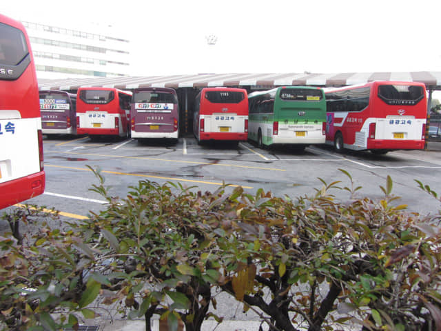 首爾市 東首爾客運站