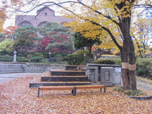 韓國首爾 明洞天主教堂 秋天紅楓葉、黃銀杏景色