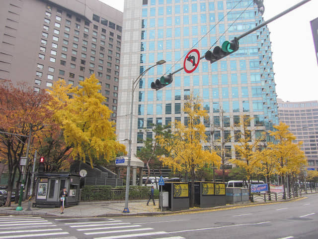 韓國首爾明洞秋天街景