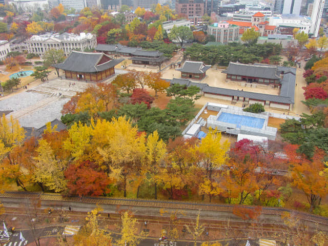 首爾市西小門政府大樓 13F貞洞瞭望台 眺望德壽宫秋天紅楓葉、金黃銀杏絕美景色