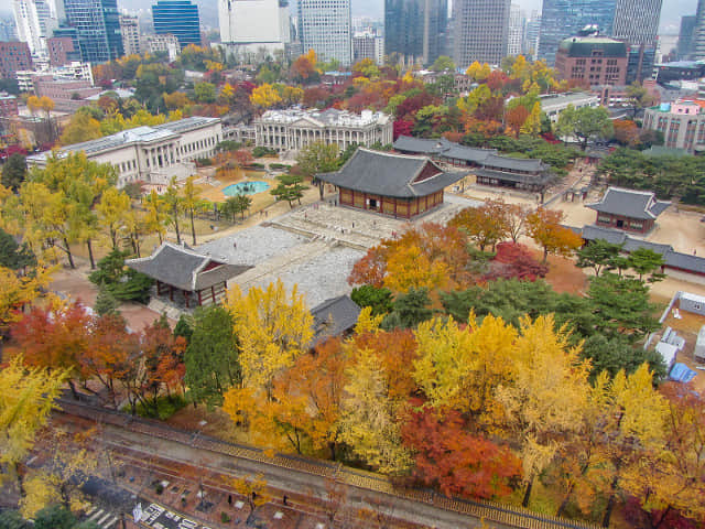 首爾市西小門政府大樓 13F貞洞瞭望台 眺望德壽宫秋天紅楓葉、金黃銀杏絕美景色