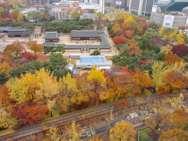 首爾貞洞瞭望台 眺望德壽宫秋天紅楓葉、金黃銀杏絕美景色