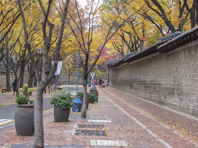 首爾德壽宫石牆路 秋天紅葉、黃銀杏景色