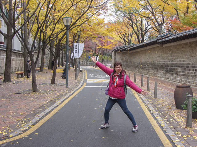 首爾德壽宫石牆路 秋天紅葉、黃銀杏景色