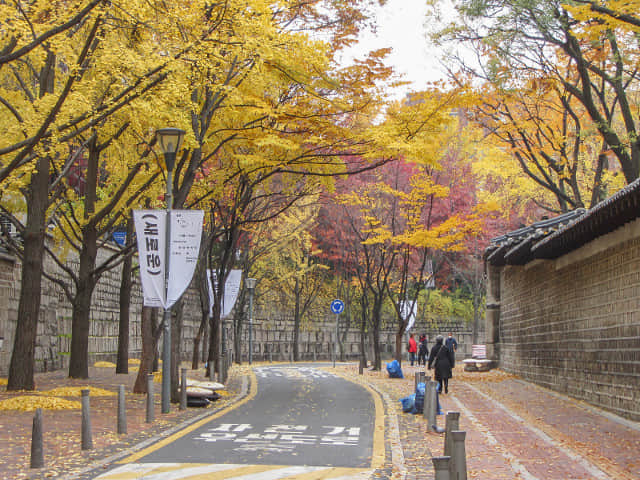 首爾德壽宫石牆路 秋天紅葉、黃銀杏景色