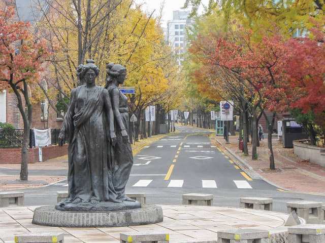 首爾德壽宫石牆路 秋天紅葉、黃銀杏景色