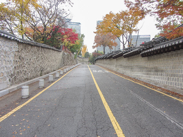 首爾德壽宫石牆路 秋天紅葉、黃銀杏景色