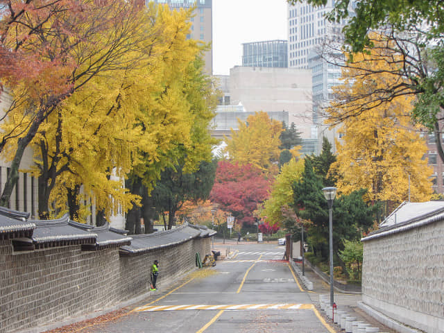 首爾德壽宫石牆路 秋天紅葉、黃銀杏景色