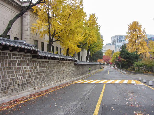 首爾德壽宫石牆路 秋天紅葉、黃銀杏景色