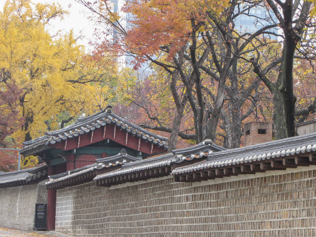 首爾德壽宫石牆路 秋天紅葉、黃銀杏景色