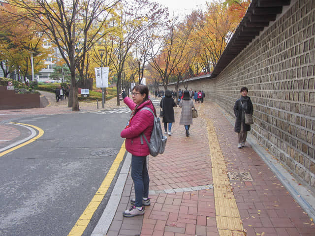 首爾德壽宫石牆路 秋天紅葉、黃銀杏景色