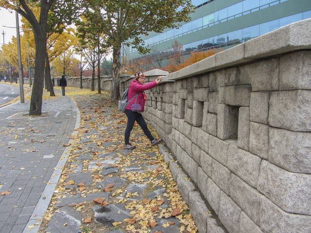 韓國首爾城廓路 秋天紅葉、金黃銀杏漂亮街景