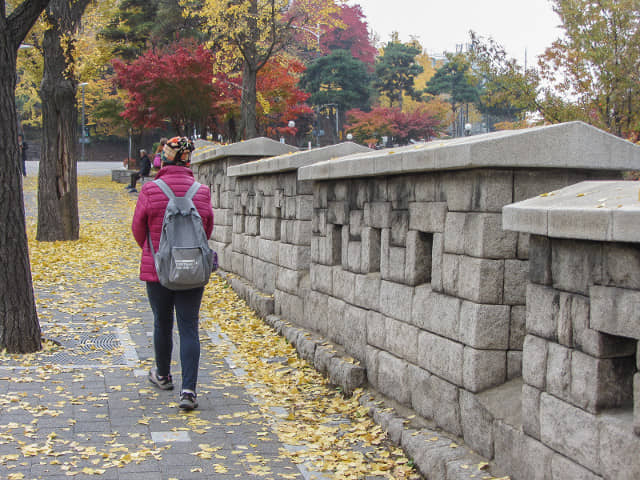 韓國首爾城廓路 秋天紅葉、金黃銀杏漂亮街景