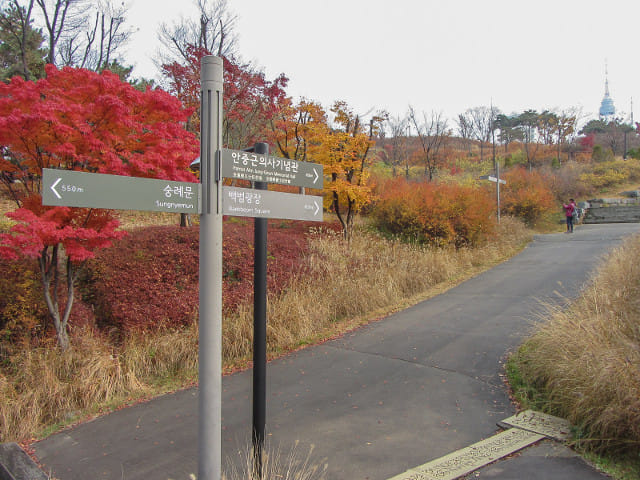 韓國首爾南山公園 秋天紅葉景色