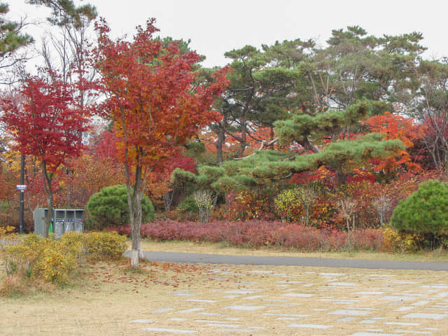 韓國首爾南山公園 白凡廣場 秋天紅葉景色