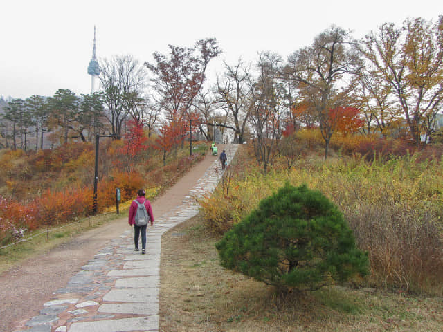 韓國首爾南山公園 秋天紅葉景色