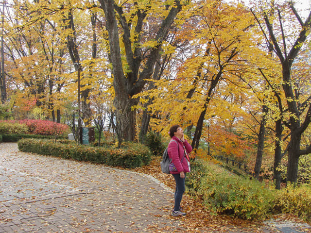 韓國首爾南山公園 安重根義士紀念館 秋天紅葉景色