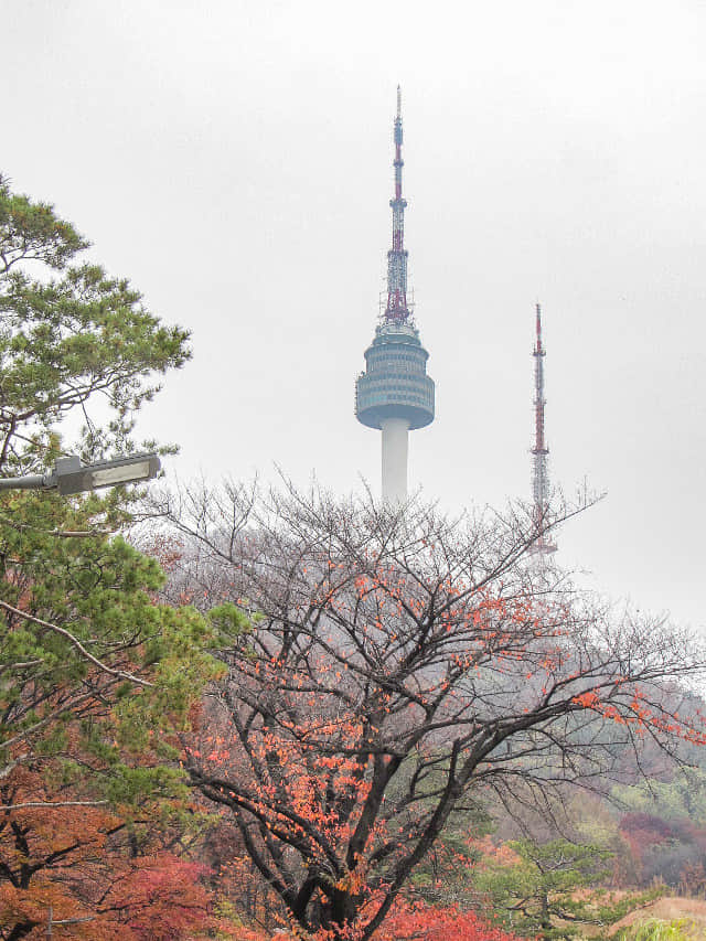 韓國首爾南山公園 南山 首爾塔