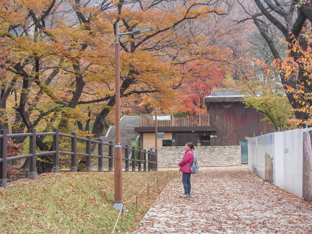 韓國首爾南山公園 南山登山口 秋天紅葉漂亮景色