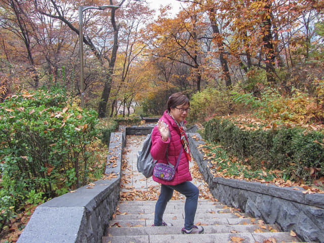 韓國首爾南山公園 南山登山口 秋天紅葉景色