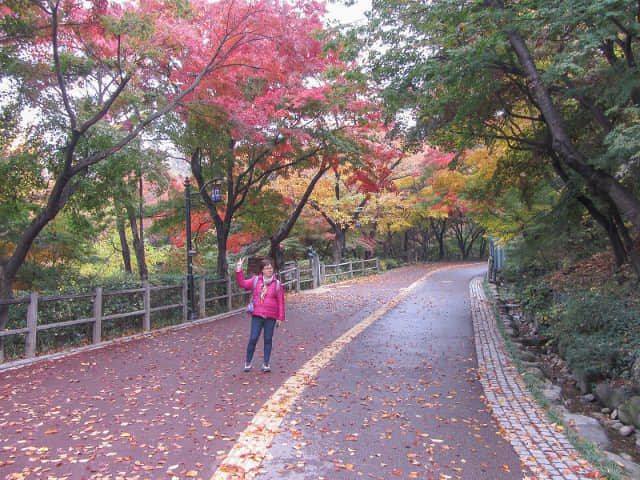 首爾南山北側循環路 秋天紅楓葉漂亮景色