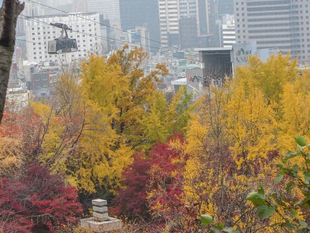 首爾南山纜車 秋天紅楓葉漂亮景色