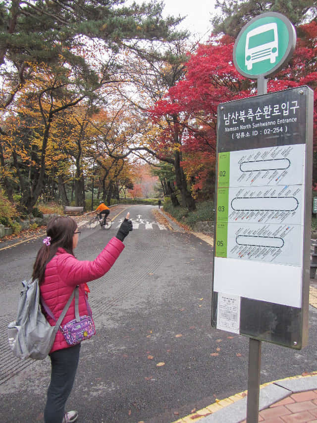 首爾南山公園 南山南側循環路 往首爾塔巴士站