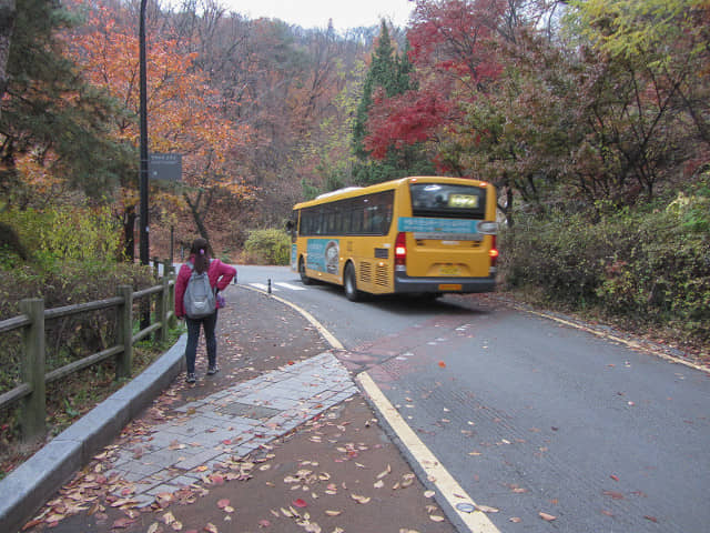 首爾南山公園 南山南側循環路 往首爾塔黃色巴士