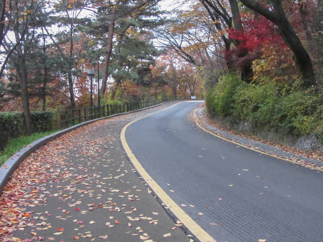 首爾南山公園 南山南側循環路 秋天紅葉景色