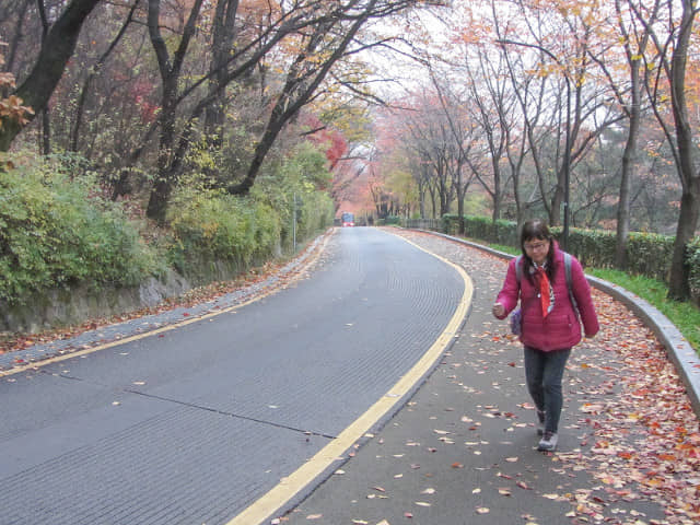 首爾南山公園 南山南側循環路 秋天紅葉景色