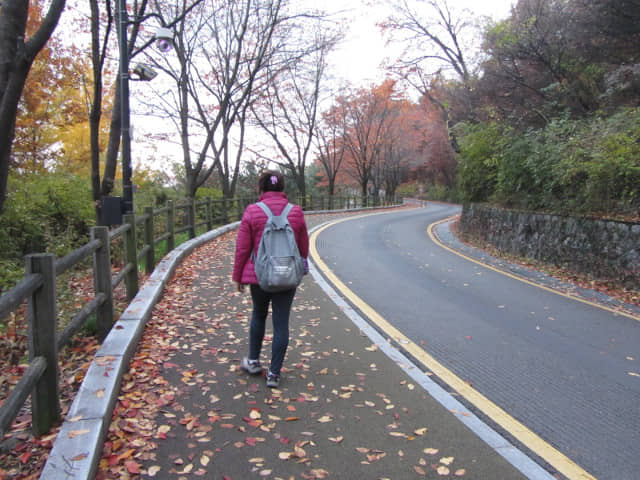 首爾南山公園 南山南側循環路 秋天紅葉景色