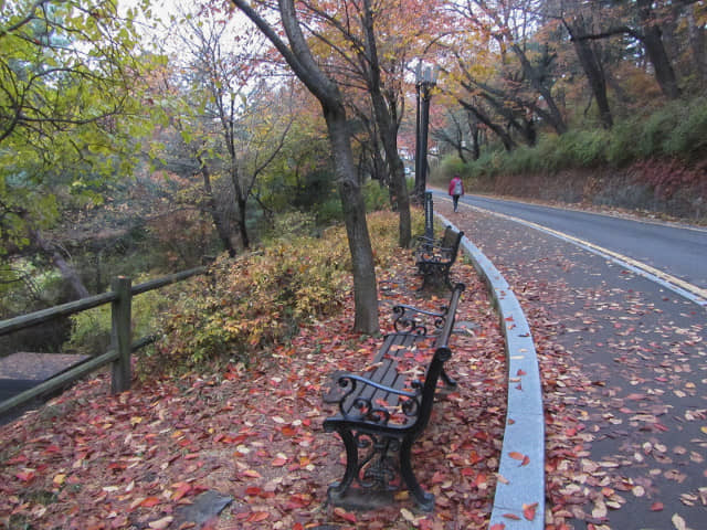 首爾南山公園 南山南側循環路 秋天紅葉景色