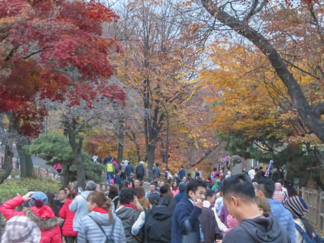 韓國南山首爾塔 秋天景色