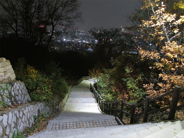 韓國首爾 南山公園 晚上的首爾城郭路