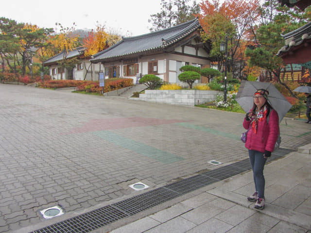 韓國首爾南山谷韓屋村 秋天紅葉景色