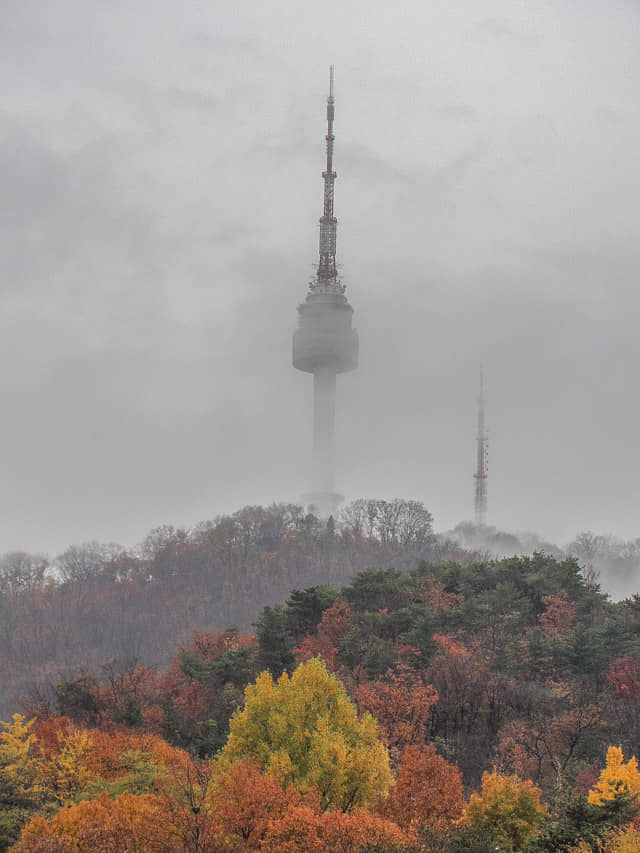 首爾南山、南山山頂首爾塔 秋天紅葉 霧景