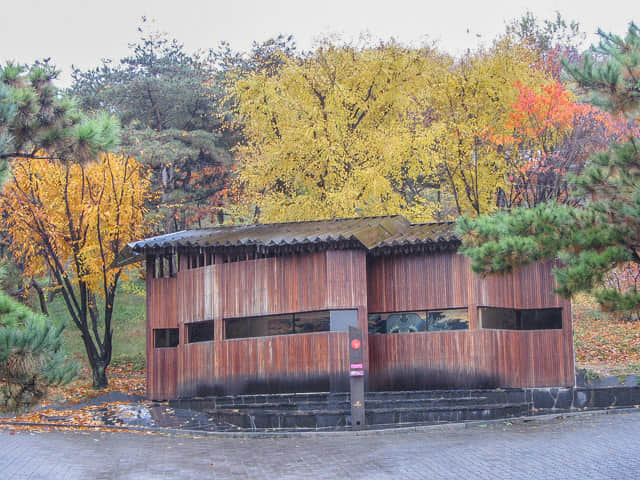 韓國首爾南山谷韓屋村 秋天紅葉、金黃銀杏景色