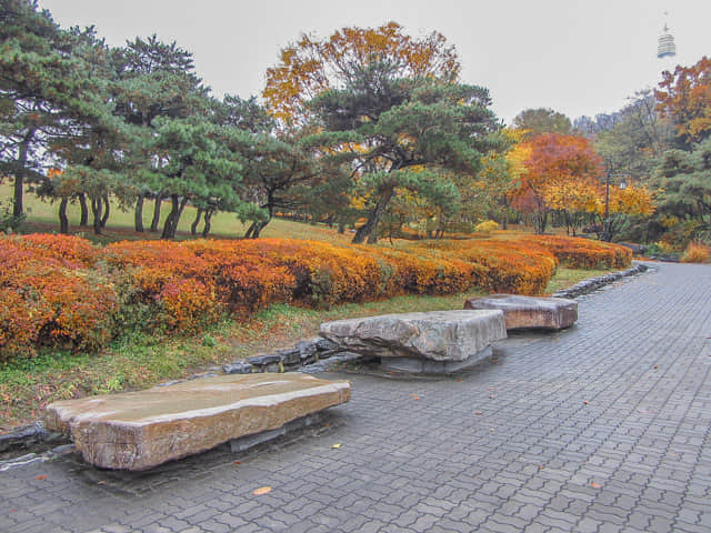 韓國首爾南山谷韓屋村 秋天紅葉景色